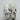 Women’s Versace Greca low-top leather sneakers in white/black Size 39 Versace