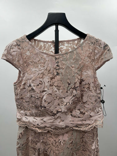 Adrianna Papell Embroidered Lace Popover Dress in a dusty rose Size 4
