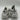 Dolce & Gabbana Daymaster sneakers in a white and silver Size 9UK Dolce&Gabbana