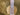 NWT Women’s Love Tree Faux Fur Full Zip Reversible jacket color brown size L Love Tree