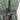 DKNY Dress Womens Chiffon Animal Print Green Black Wrap V Neck Tie Waist XS DKNY