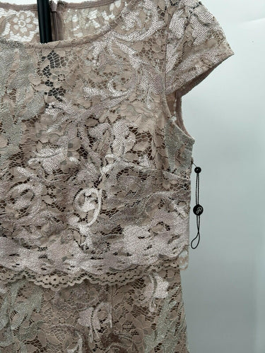 Adrianna Papell Embroidered Lace Popover Woman’s Dress Pink Rose Size 2