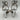 Women's Steve Madden Graycen Silver Rhinestone Heels Sandal Size 7M Steve Madden