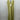 NWD Line And Dot Long Dress Citron Green Satin Women’s Size S Line And Dot
