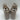 Kelly & Katie CADENE Taupe Fabric Square Toe Strappy Rhinestone Sandals, 9M Kelly