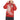 PUMA Mercedes F1 Statement Hoodie Hibiscus XL
