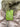 NWT SAM EDELMAN Little Girl's Sunbeam Faux Fur Quilted Puffer Size 2T Sam Edelman