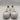 Alexander McQueen Deck Plimsoll sneakers in white canvas Size 41D Alexander McQueen