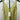 NWD Line And Dot Long Dress Citron Green Satin Women’s Size S Line And Dot