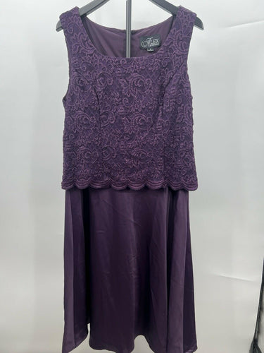 Alex Evenings Dress Set Eggplant Lace Jacket Sleeveless Dress 2PC 18 Alex Evenings