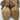 Women’s Vince Camuto Faymina Bootie Evena Size 7M Vince Camuto