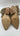 Women’s Vince Camuto Faymina Bootie Evena Size 7M Vince Camuto