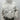 NWD Women’s Love Tree Full Zip Snap Faux Leather Puffer White Jacket Size M Love Tree