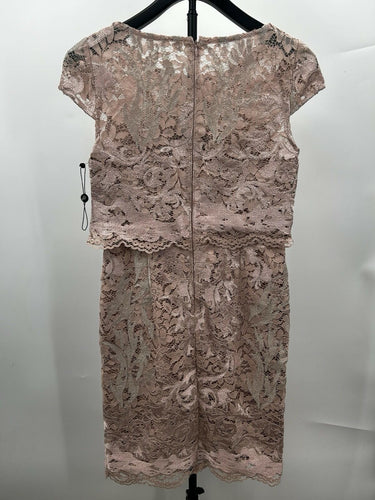 Adrianna Papell Embroidered Lace Popover Dress in a dusty rose Size 4