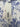 Janie and Jack Baby Rashguard Bikini Set Blue White Toile Floral 2 Pc NWT 6-12 Janie and Jack