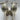 Stuart Weitzman Discoplatform Gold Metallic Leather Platform Heels Size 8 Stuart Weitzman