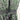 DKNY Dress Womens Chiffon Animal Print Green Black Wrap V Neck Tie Waist XS DKNY