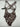 La Blanca Fierce Lines Multi-Strap Cross-Back One Piece Woman’s Swimsuit Size 8 La Blanca