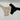 Lot Of 6 Victoria's Secret & Pink Panties & Thongs Mix Colors Size M Victoria's Secret