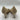 Valentino by Mario Valentino "Clara" logo pumps with gold hardware Size 8 Valentino by Mario Valentino
