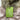 NWT SAM EDELMAN Little Girl's Sunbeam Faux Fur Quilted Puffer Size 2T Sam Edelman