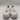 Alexander McQueen Deck Plimsoll sneakers in white canvas Size 41D Alexander McQueen